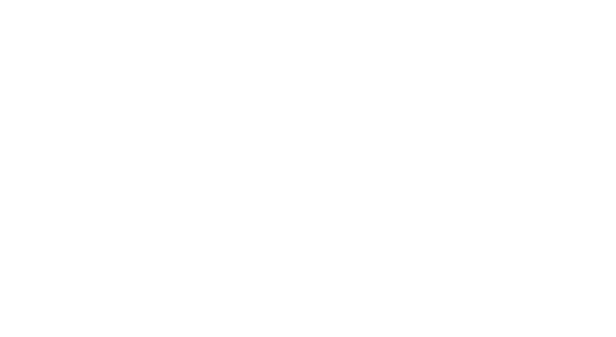 Croatia airlines